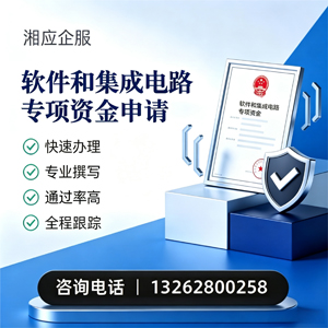 龙岩软件和集成电路专项资金申报服务