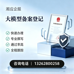 龙岩大模型备案申报服务