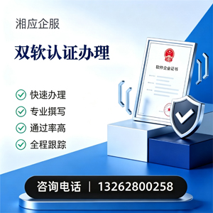 龙岩双软认证申报服务