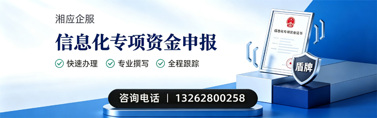 龙岩信息化专项资金申报服务