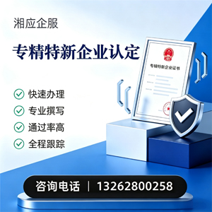 龙岩专精特新企业申报服务