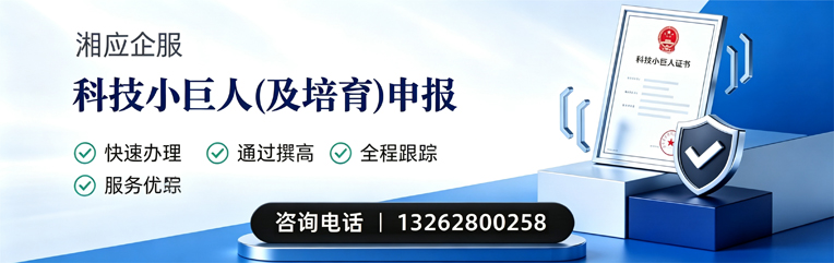 龙岩科技小巨人及培育企业申报服务