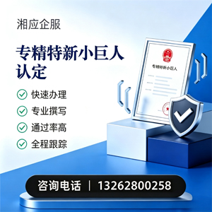 龙岩专精特新小巨人申报服务