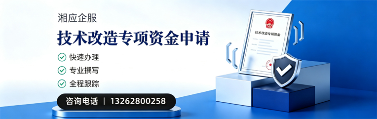 龙岩技术改造专项资金申报服务