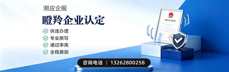 龙岩瞪羚企业认定申报服务