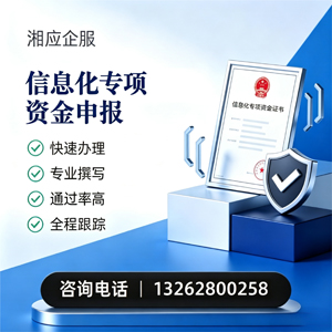 龙岩信息化专项资金申报服务