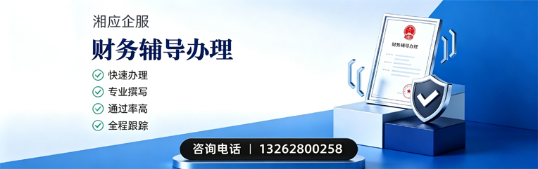 龙岩财务辅导申请服务