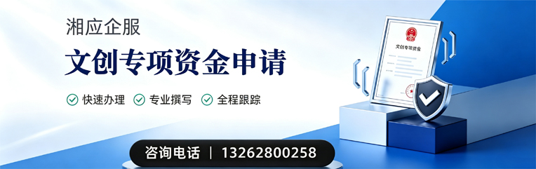龙岩文创专项资金申报服务