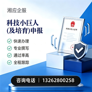 龙岩科技小巨人及培育企业申报服务