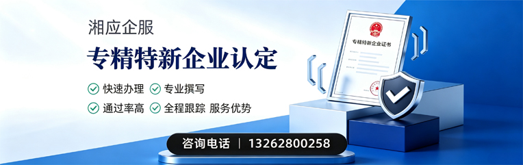 龙岩专精特新企业申报服务