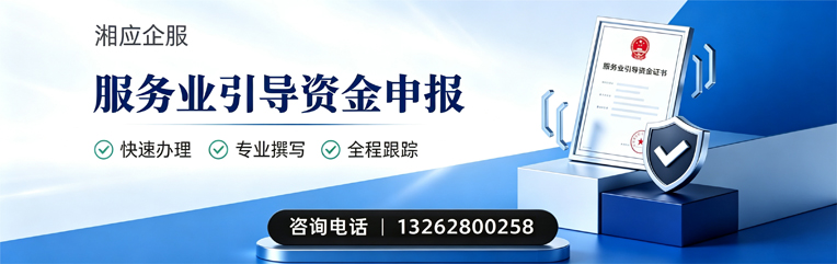 龙岩服务业引导资金申报服务