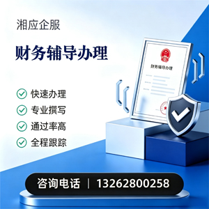 龙岩财务辅导申请服务
