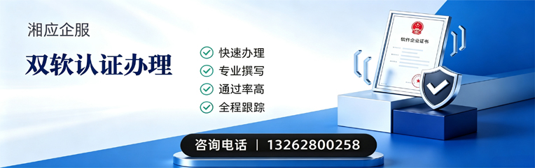 龙岩双软认证申报服务