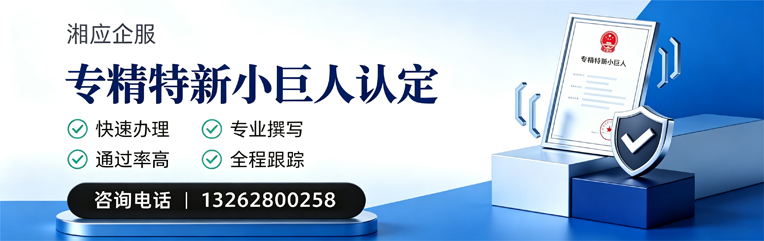 龙岩专精特新小巨人申报服务